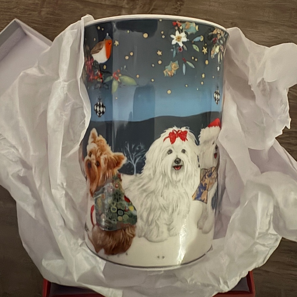 Cute dogs Winter Christmas mug in a box